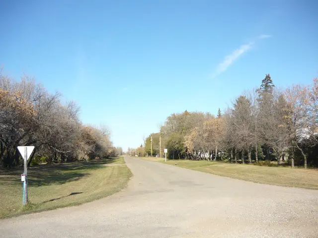 Gravel street lined with trees in autumn